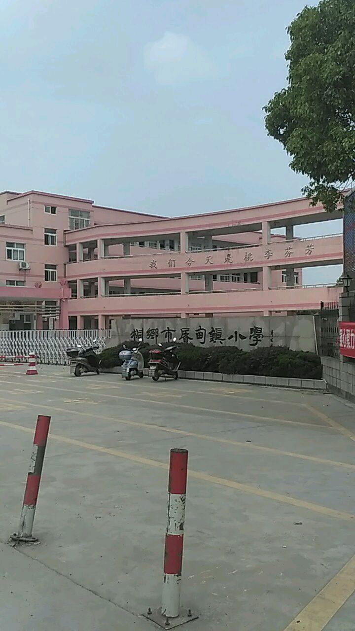 浙江省 嘉兴市 桐乡市 屠甸镇 周边小学 桐乡市屠甸镇小学