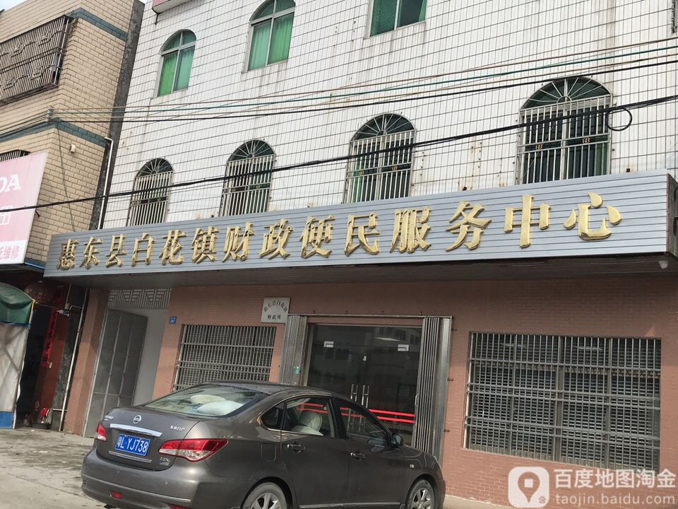惠东县 生活服务标签 生活服务镇政府政府机构政府 惠东县白花镇