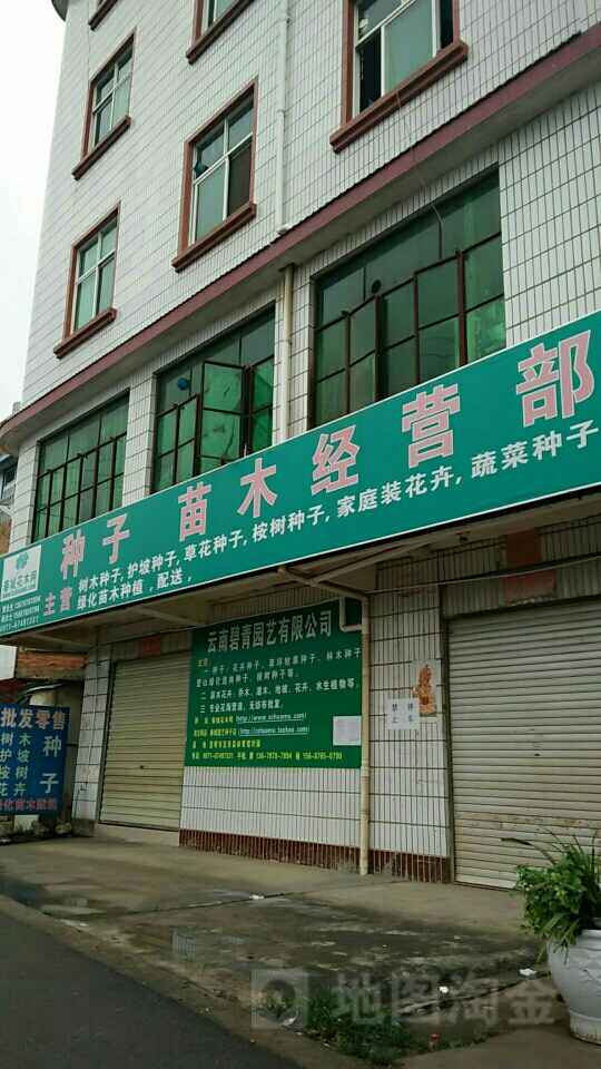云南碧青园艺有限工司