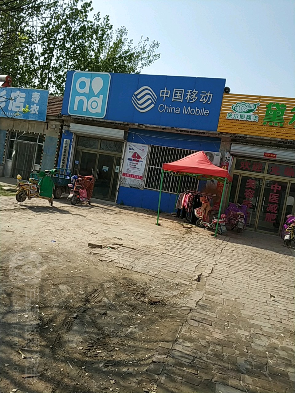 山东省德州市夏津县雷集镇夏津黄河故道森林公园
