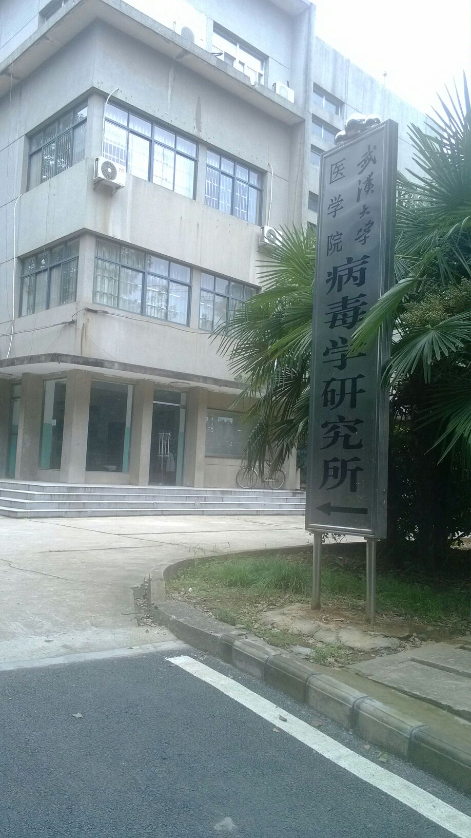 武汉大学医学部-病毒学研究所