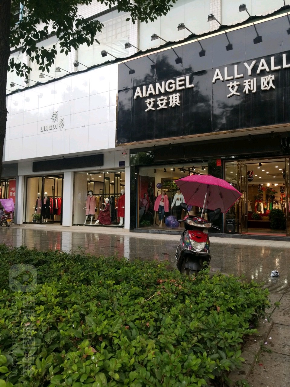 艾安琪(城中路店)