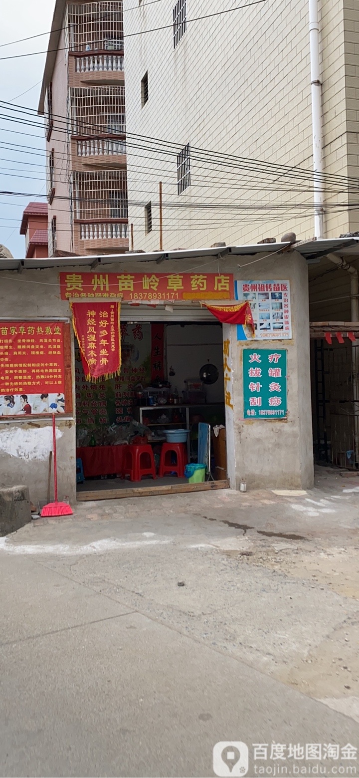 贵州苗岭草药店