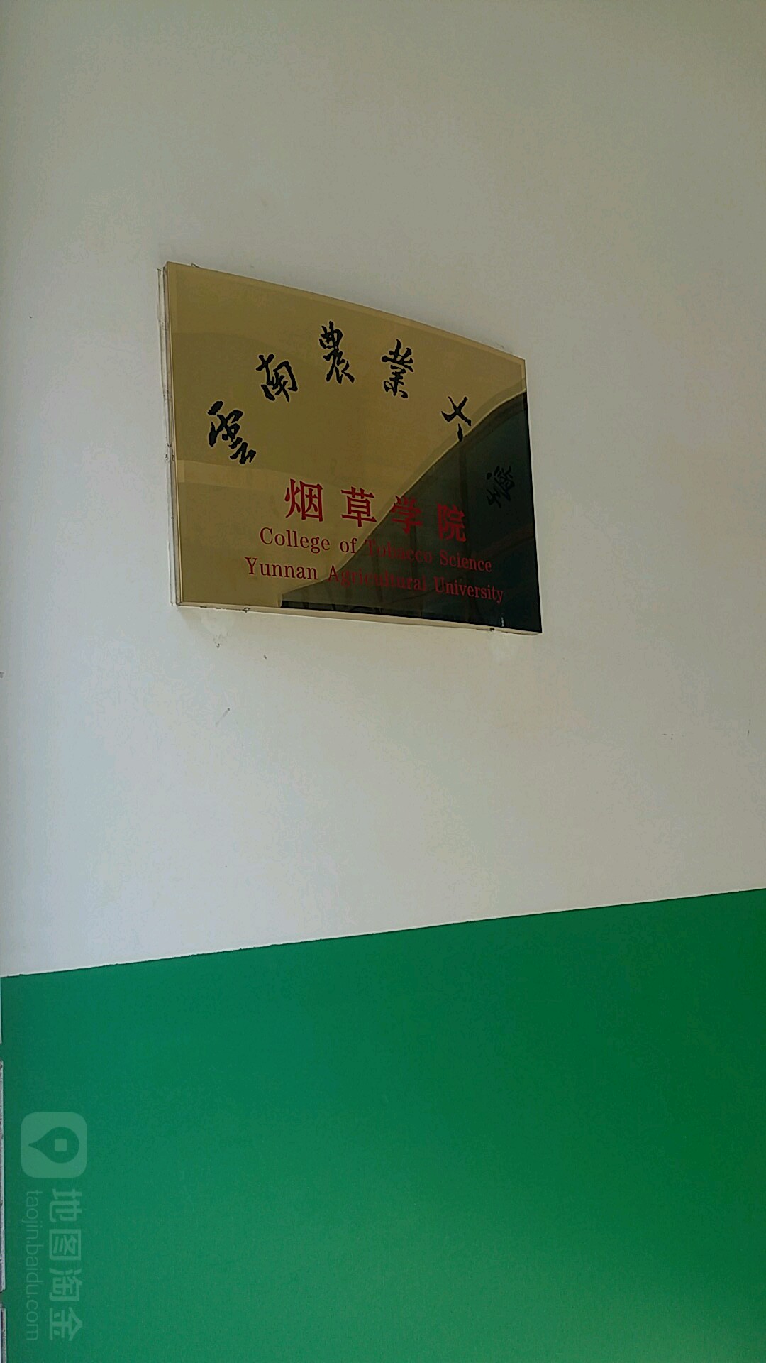 0云南农业大学-烟草学院