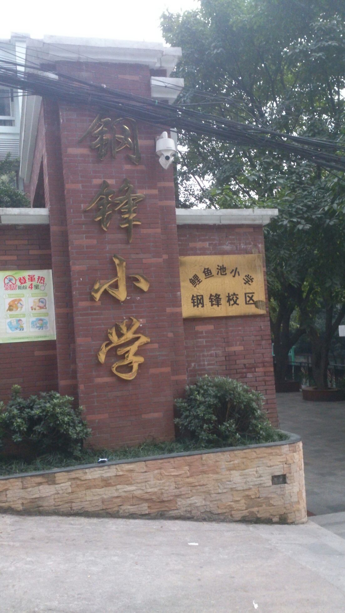 鲤鱼池小学钢锋校区