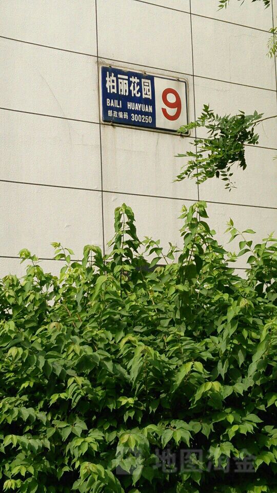 地址(位置,怎么去,怎么走):  天津市河东区红城柏丽花园9号楼