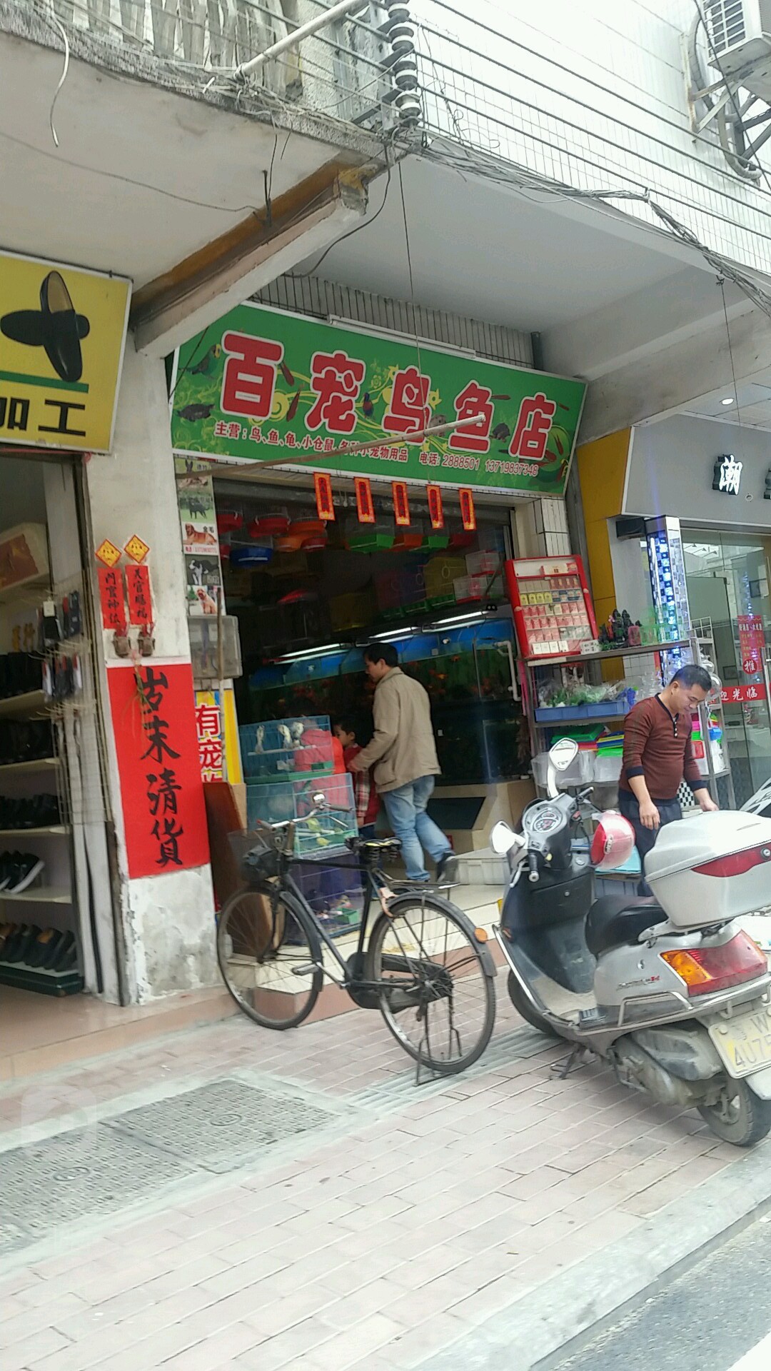 百宠鸟鱼店