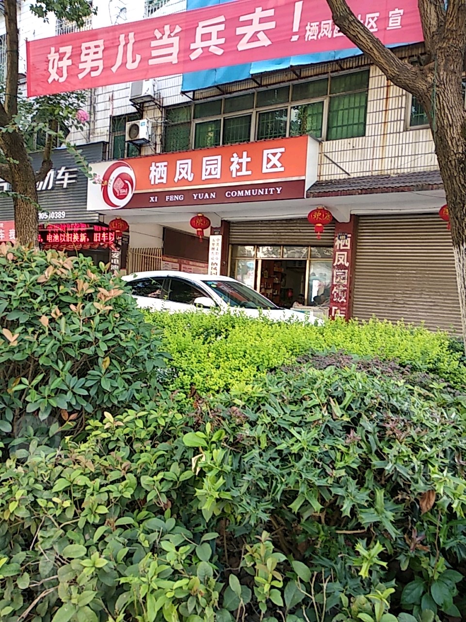 栖凤园