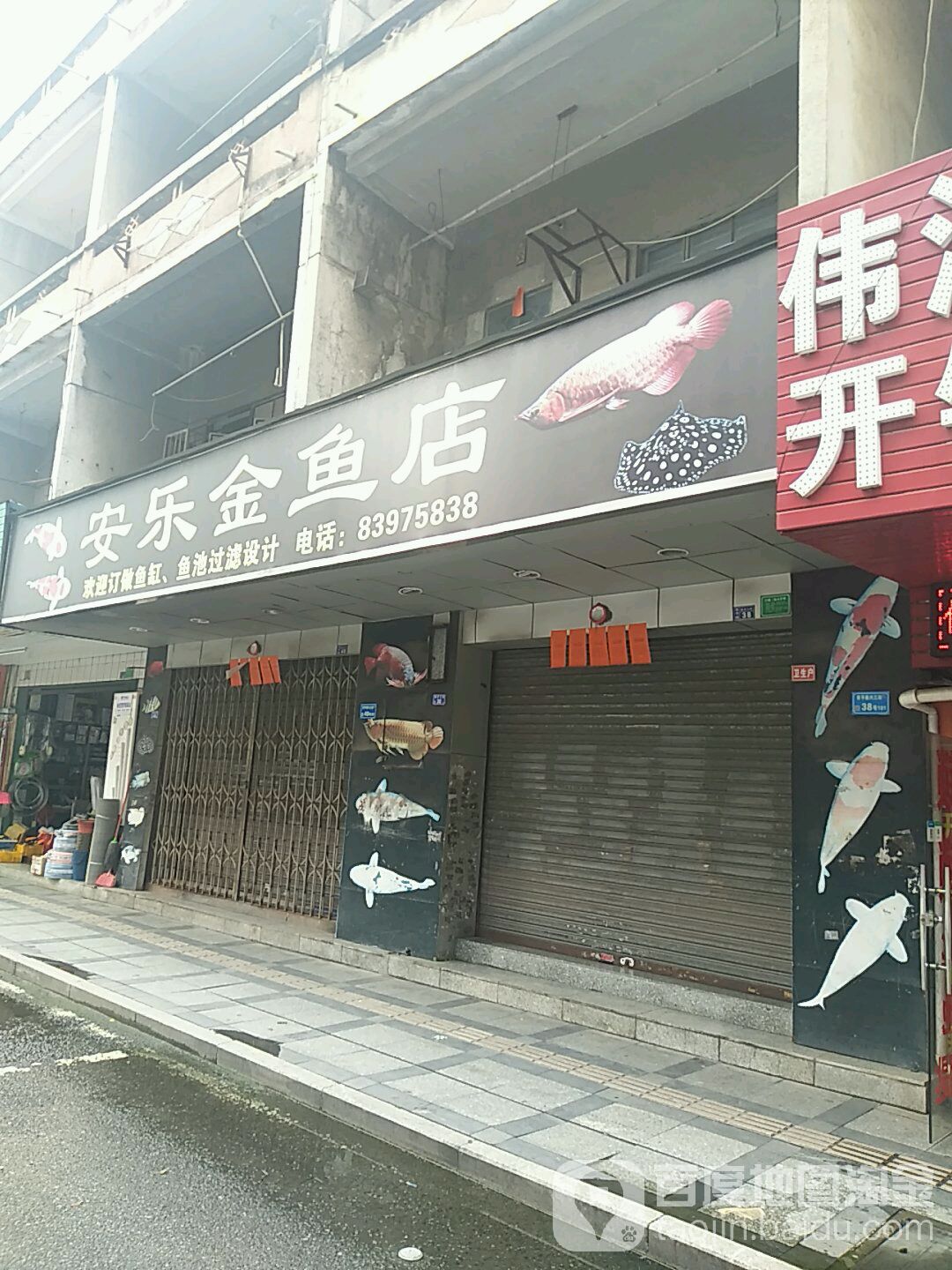 安乐金鱼店振兴三街店