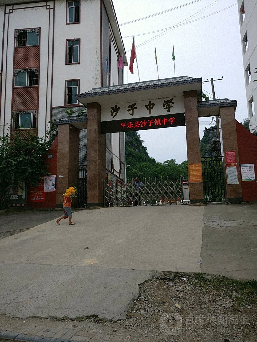 广西壮族自治区桂林市平乐县新兴街318