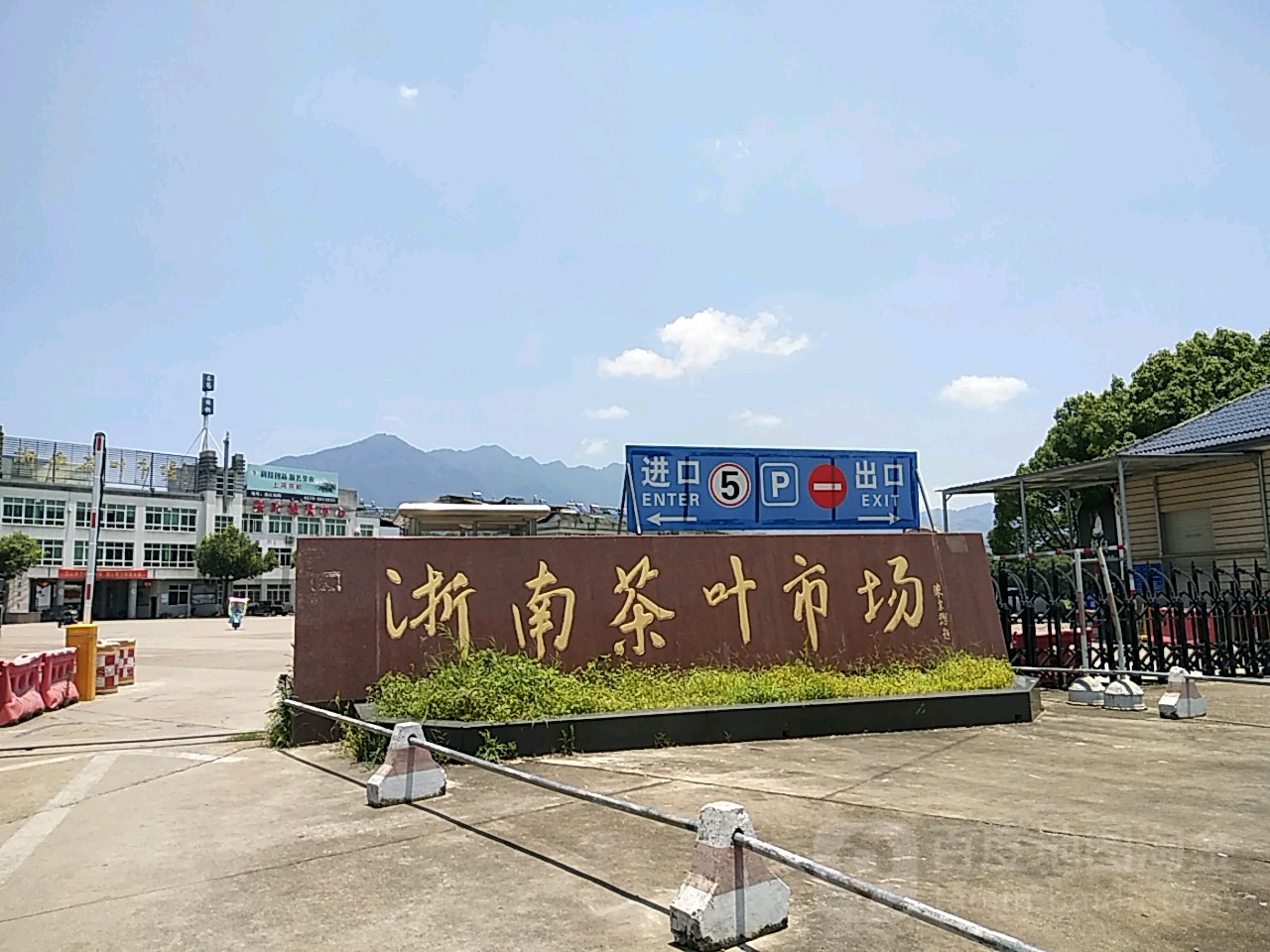 浙南茶叶市场