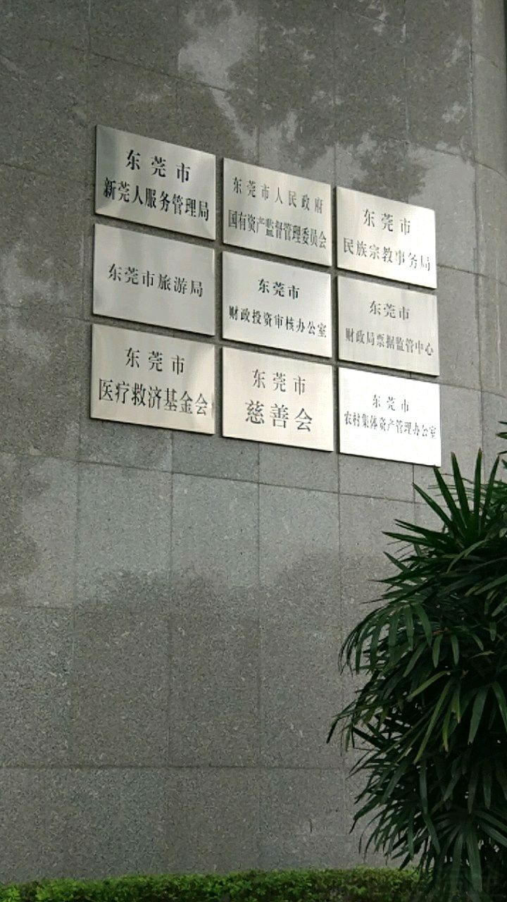 东莞市人民政府国有资产监督管理委员会