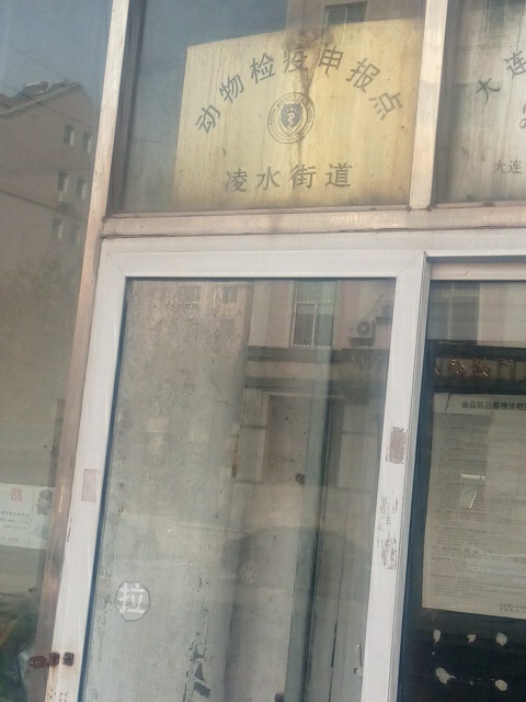 预定,价格,团购,优惠,凌水街道徐动物检疫申报点在哪,怎么走_大连医院