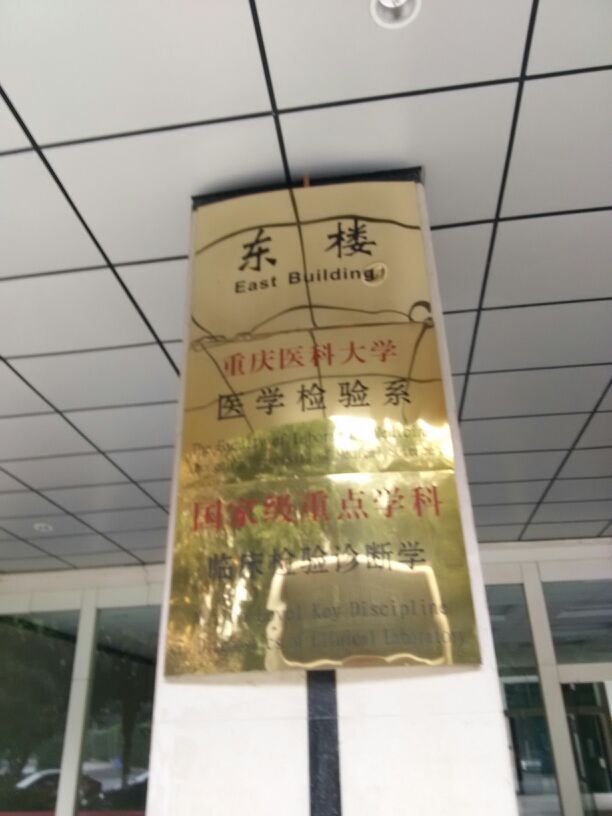 重庆医科大学-东教学楼