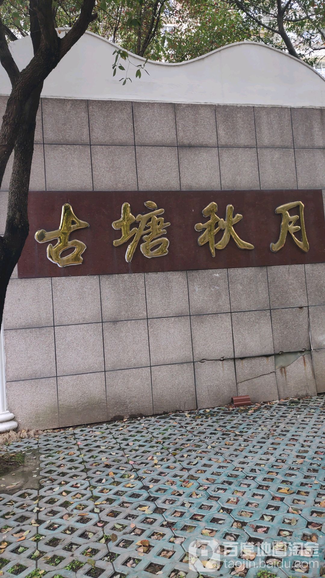 浙江省宁波市慈溪市古塘街道所有乡中心区