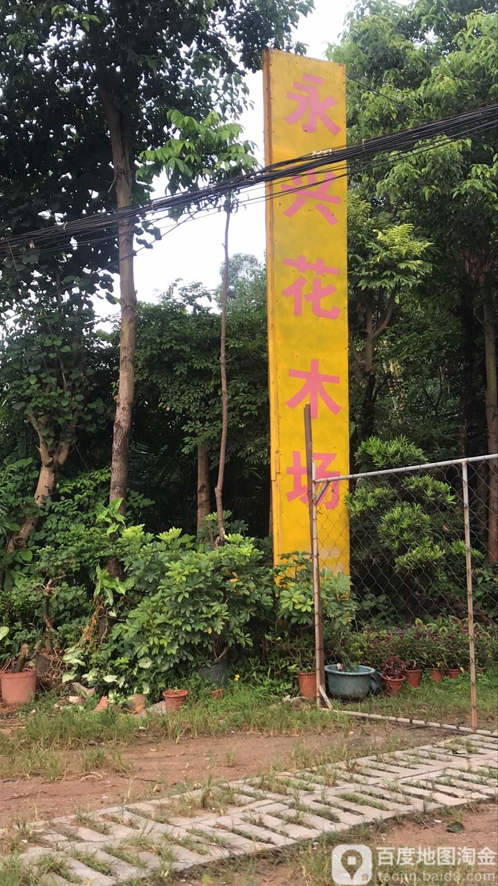 永兴花木场