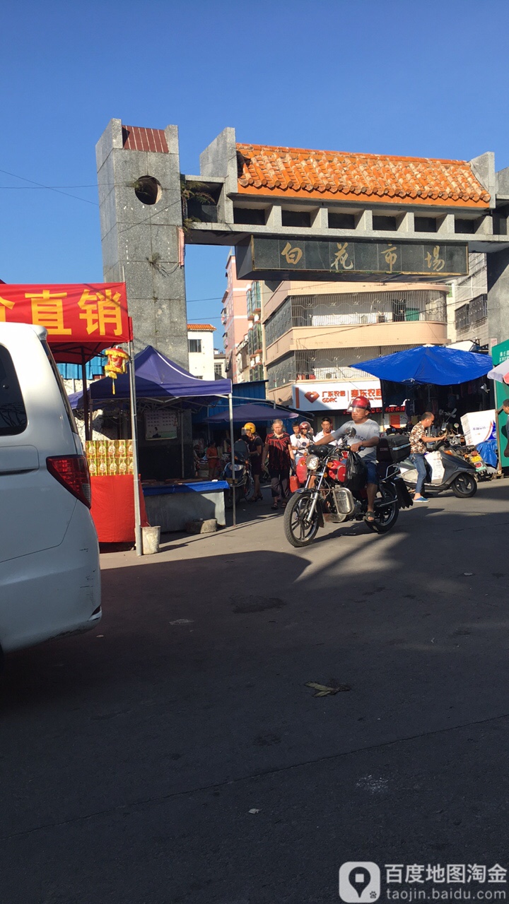 广东省惠州市惠东县白花镇长沥下列街白花市场