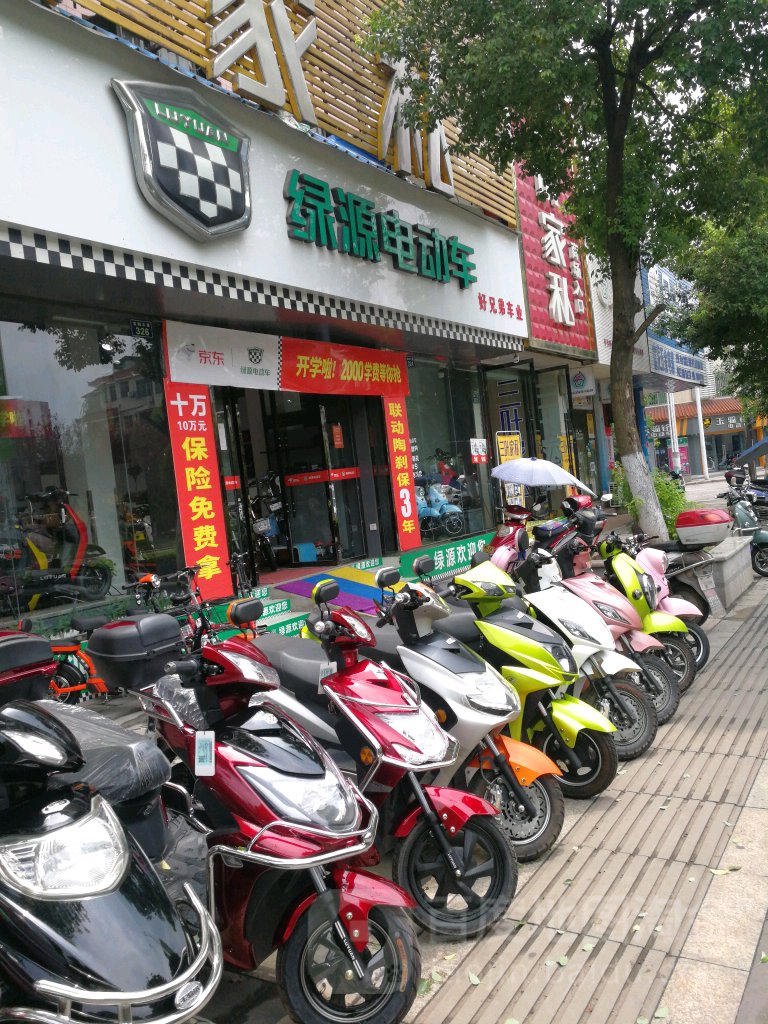 绿源(好兄弟电动车专营店)