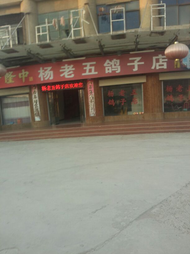 杨老五鸽子店