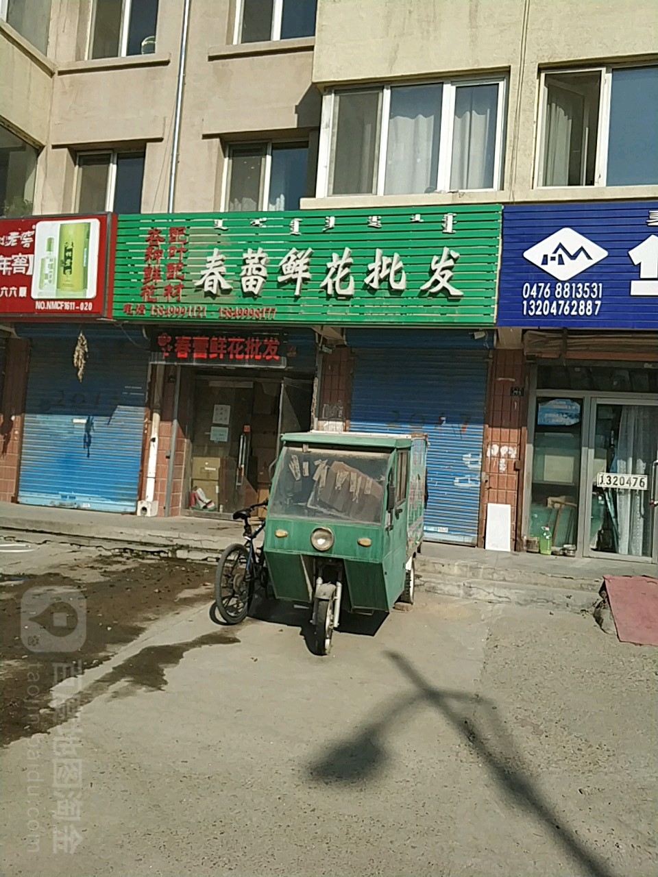 春蕾鲜华批发