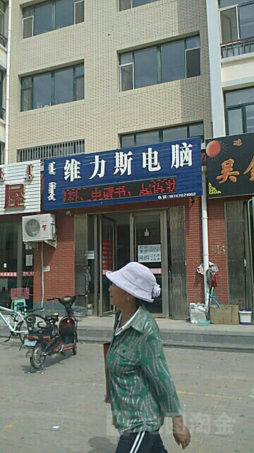 维力斯电子