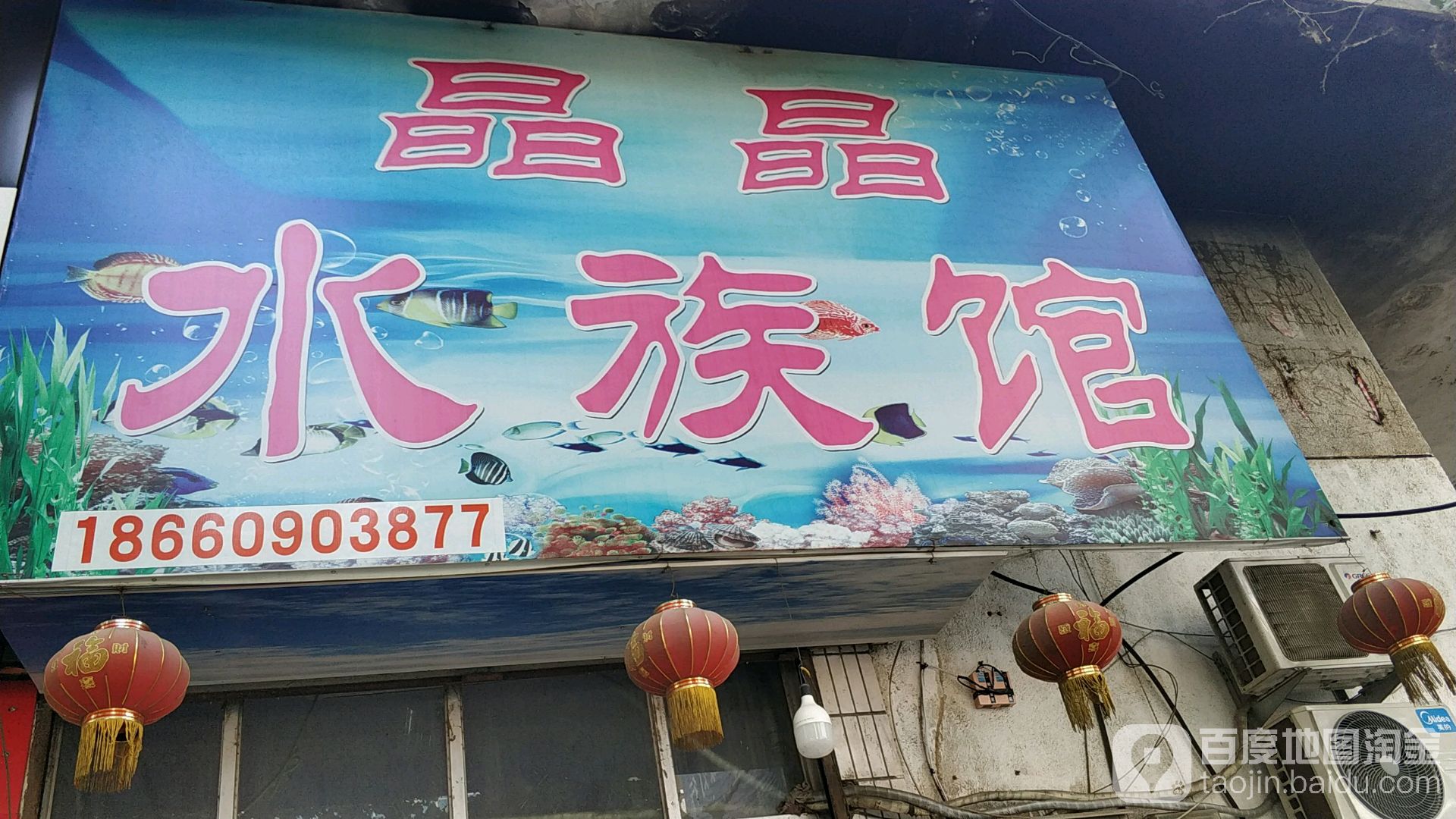 晶静水族馆(森森专卖店)