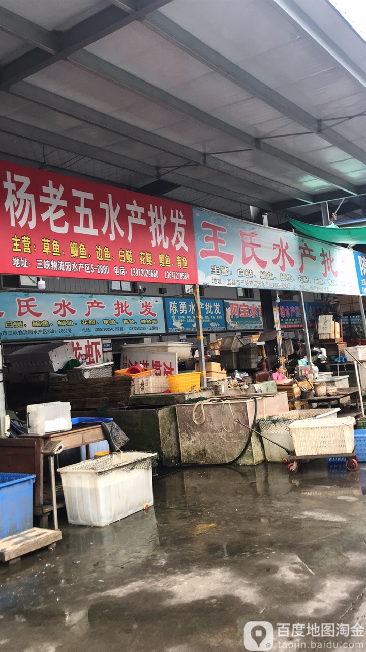 杨老五水产批发