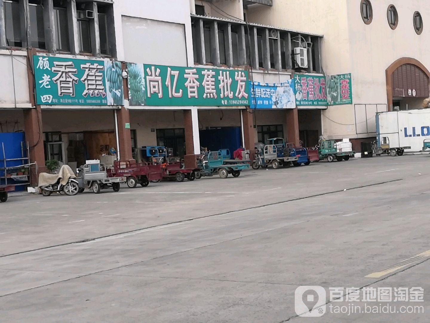 大杨香蕉批发