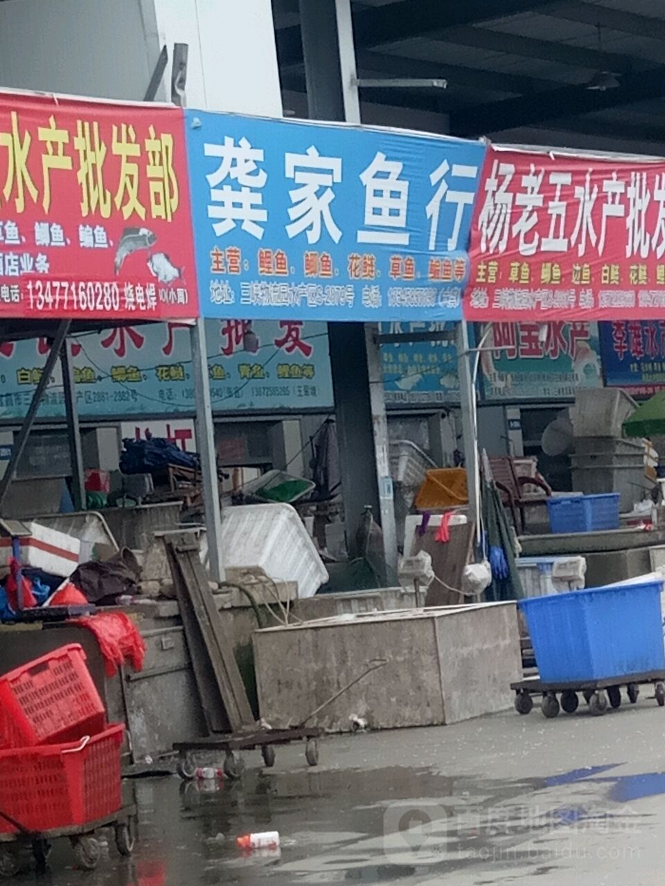 熊家鱼行