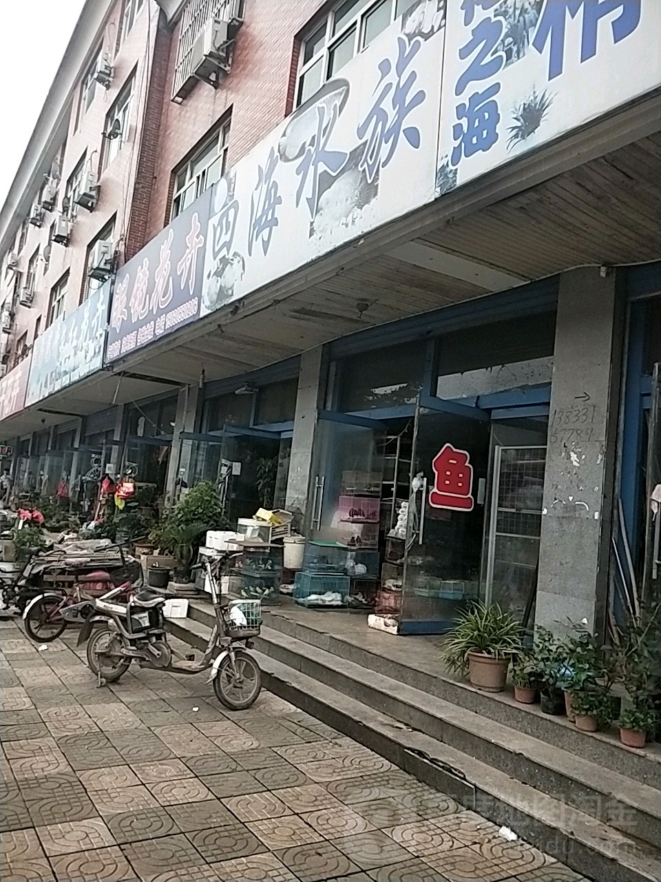 四海水族
