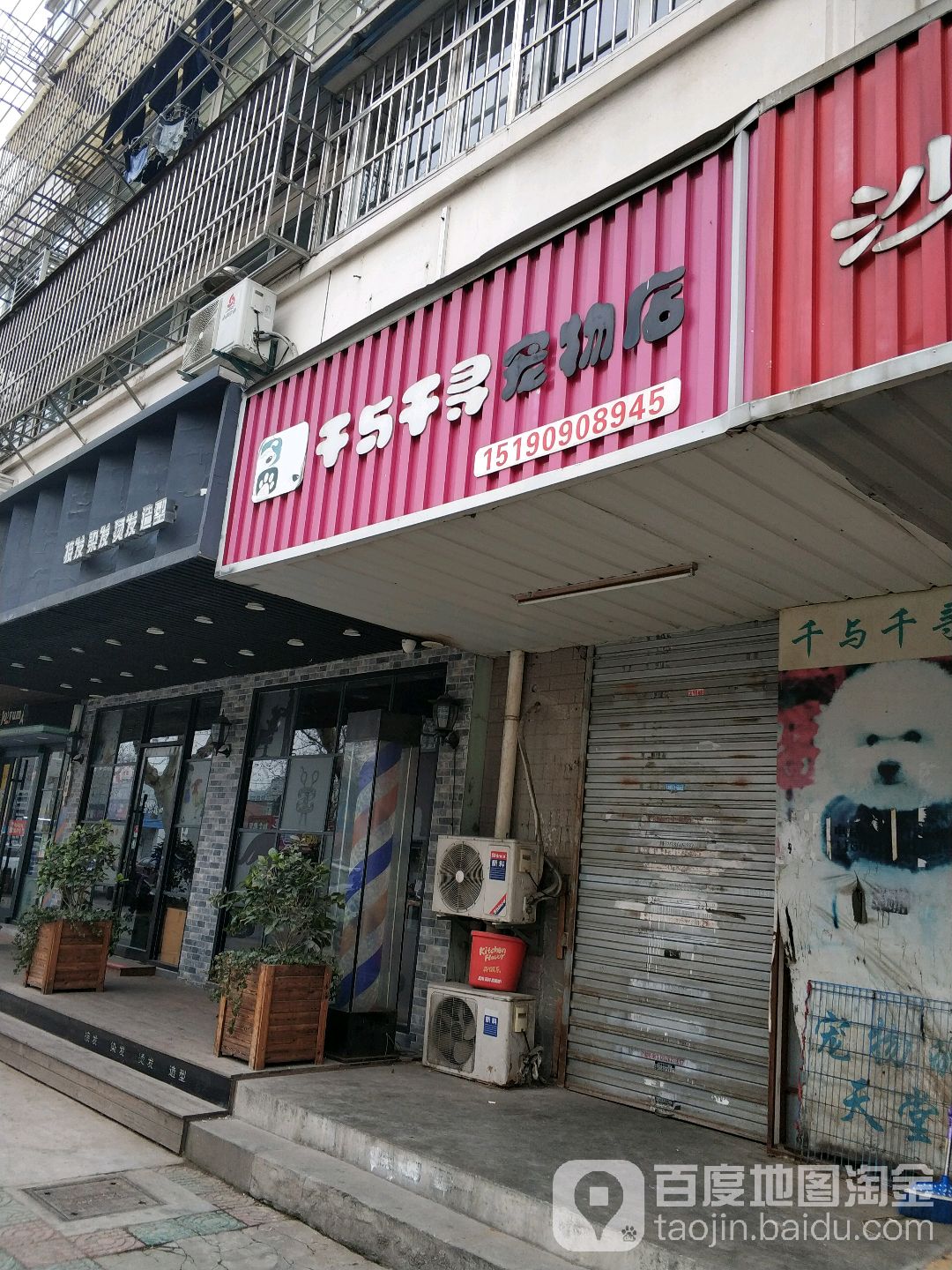 千与千寻宠物店