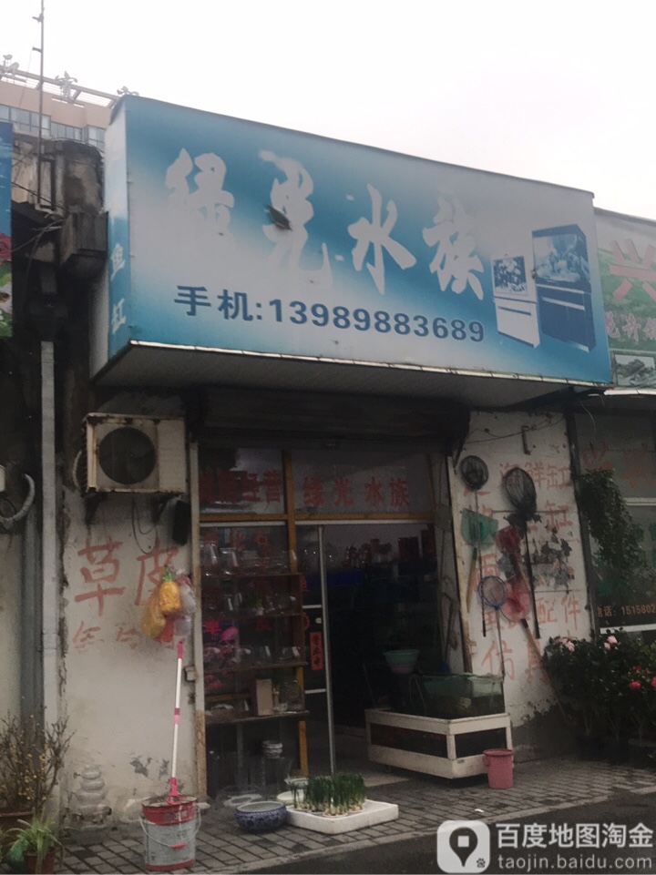 绿光水族(园沙路店)