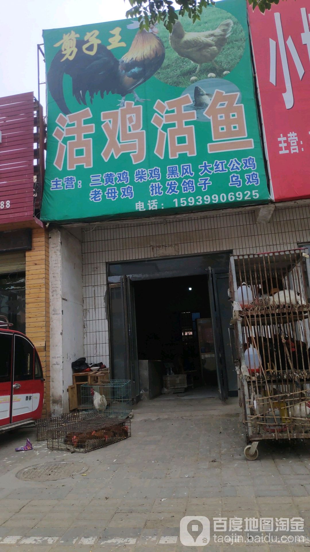 剪子王活鸡活鱼