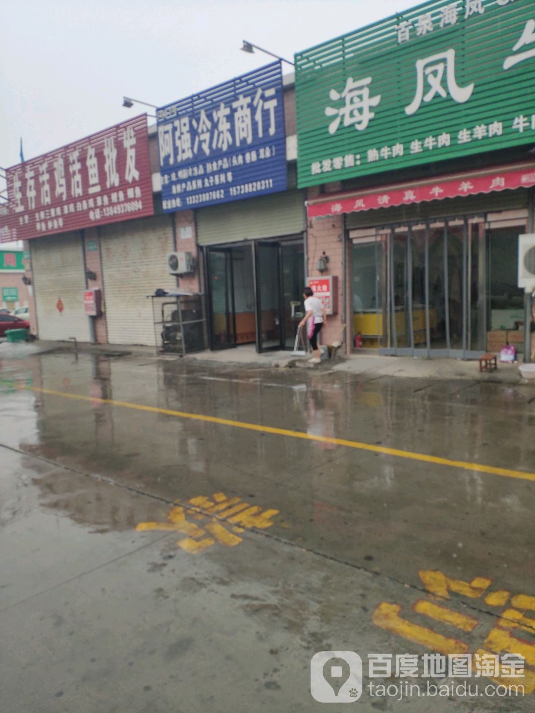 生存活鸡活鱼批发