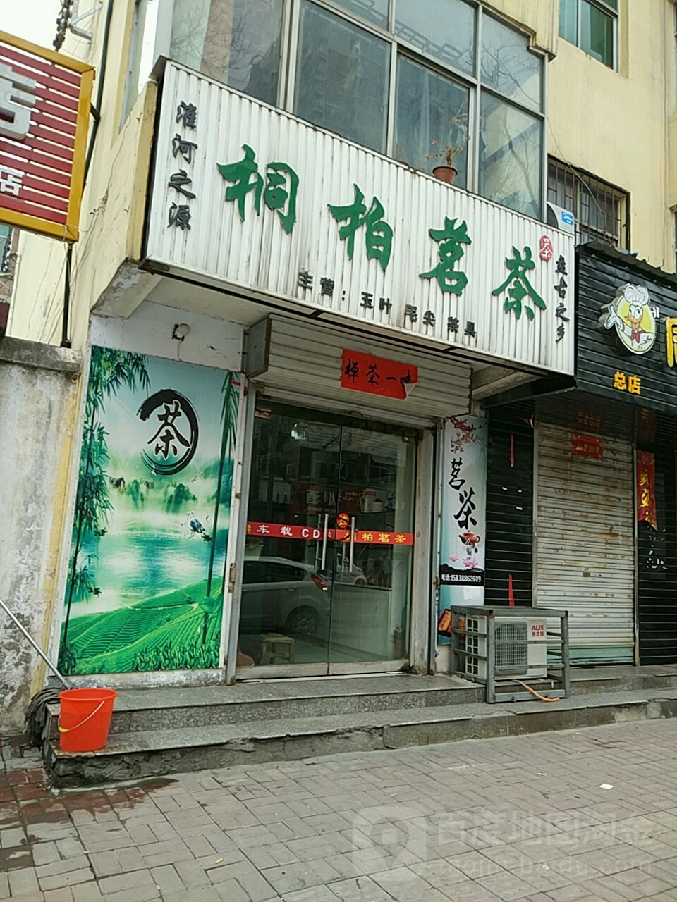 桐柏茗茶