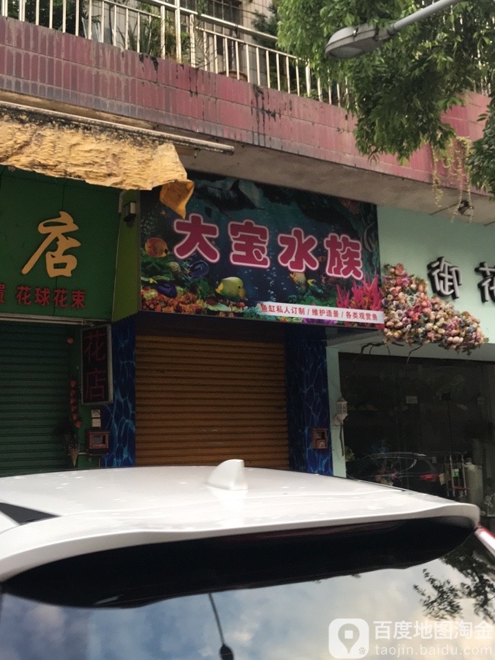大宝水族