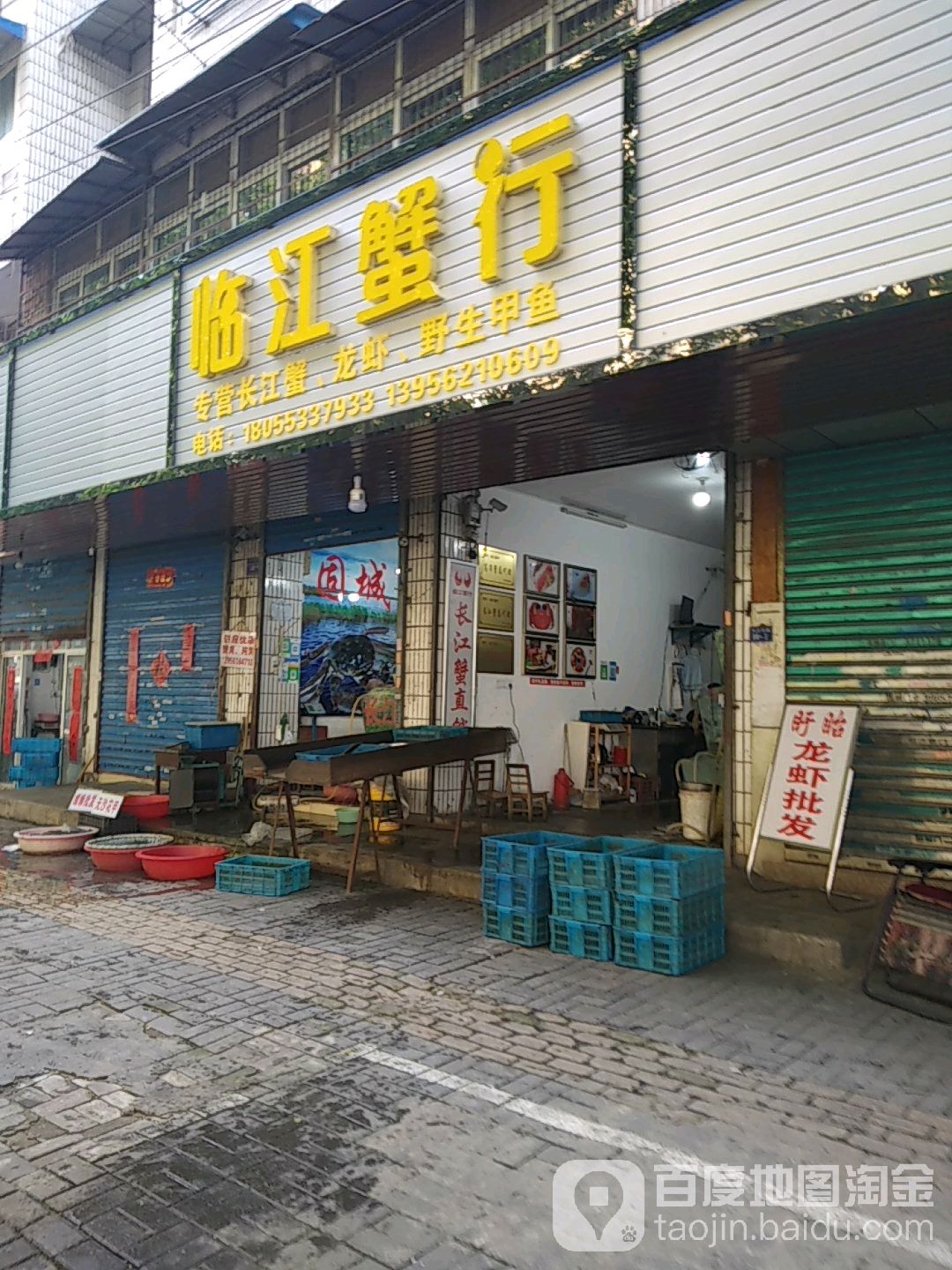 临茳蟹行