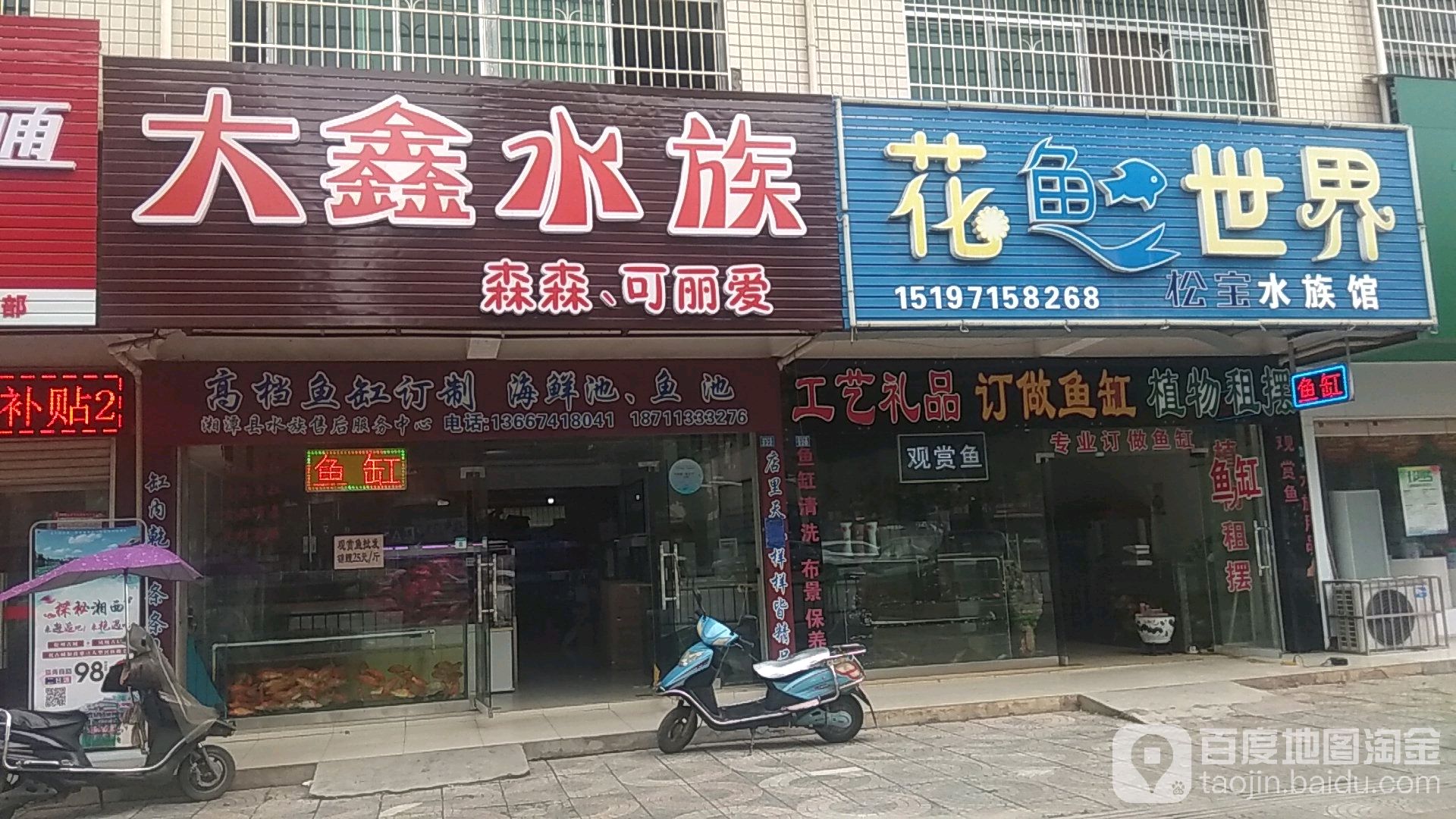 大鑫水族(经典花苑店)