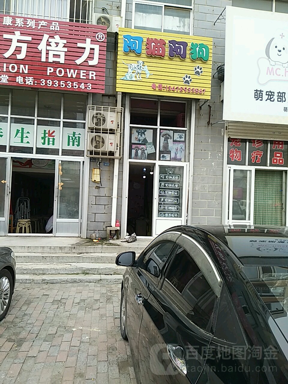 阿猫阿狗宠物店