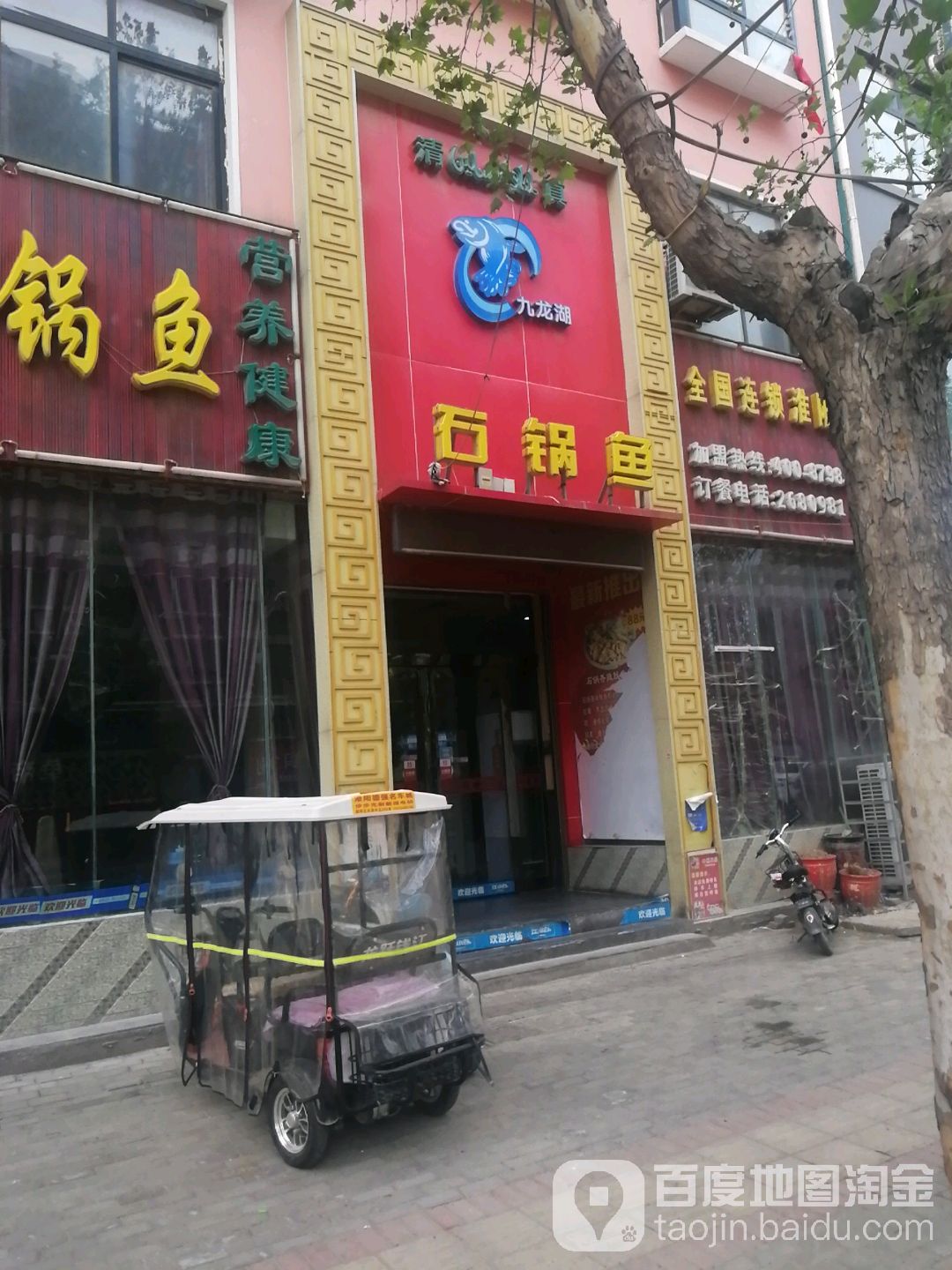 九龙湖气锅鱼(淮阳西关店)