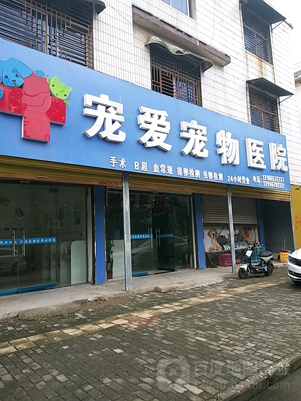 宠爱宠物医院(东顺河街店)