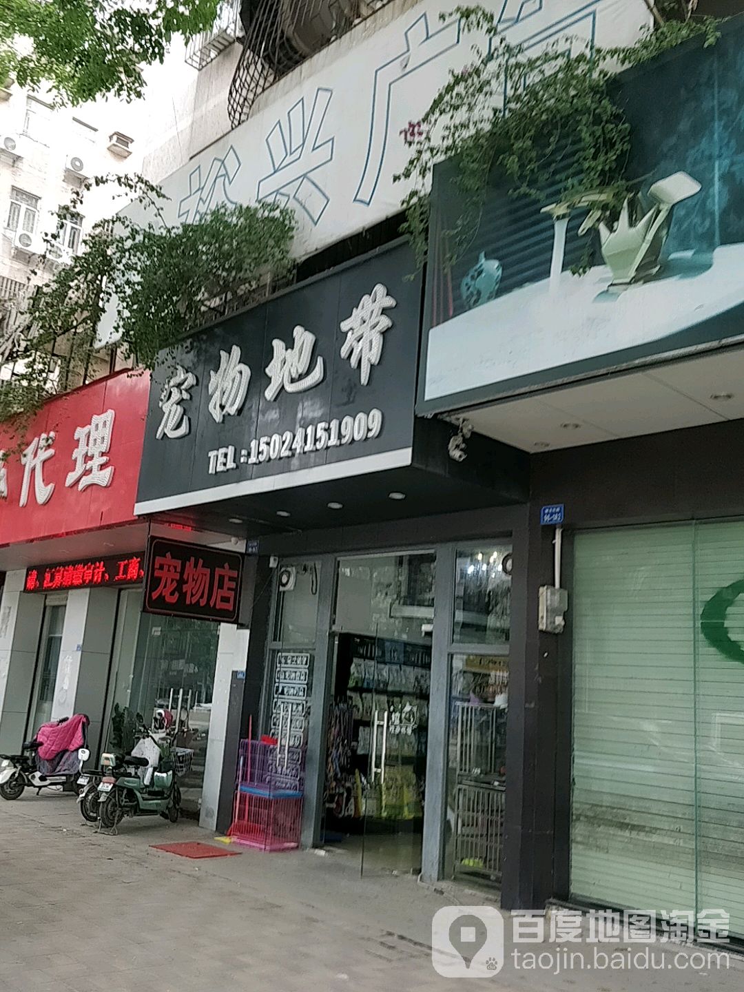 宠物地带宠物店