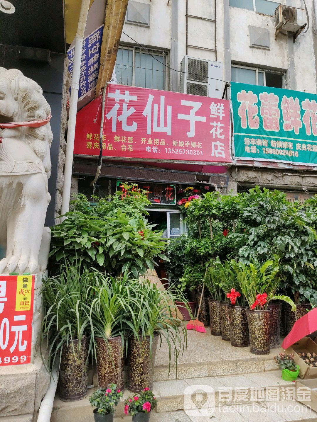 中牟县花仙子鲜花店(青年西路店)