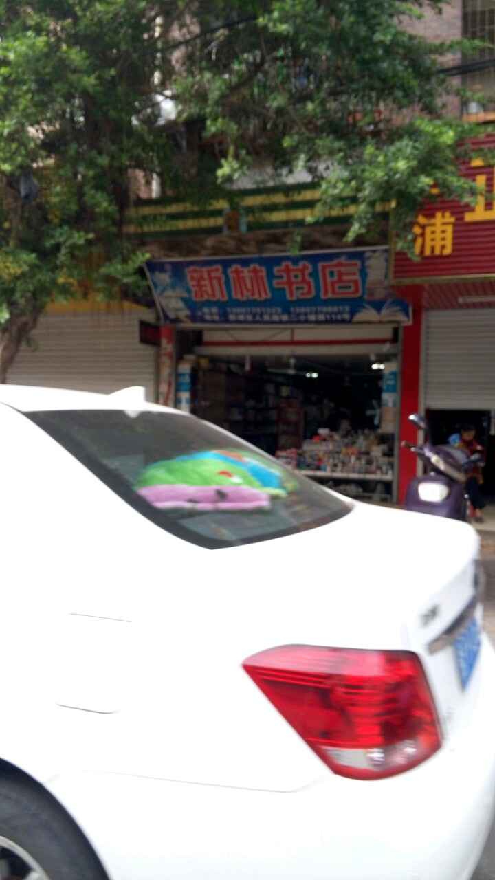 新林书店(爱国路店)