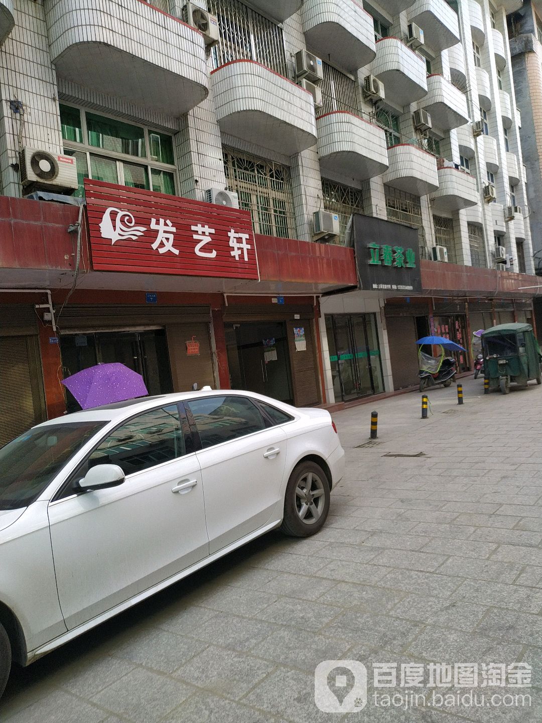 立春茶叶