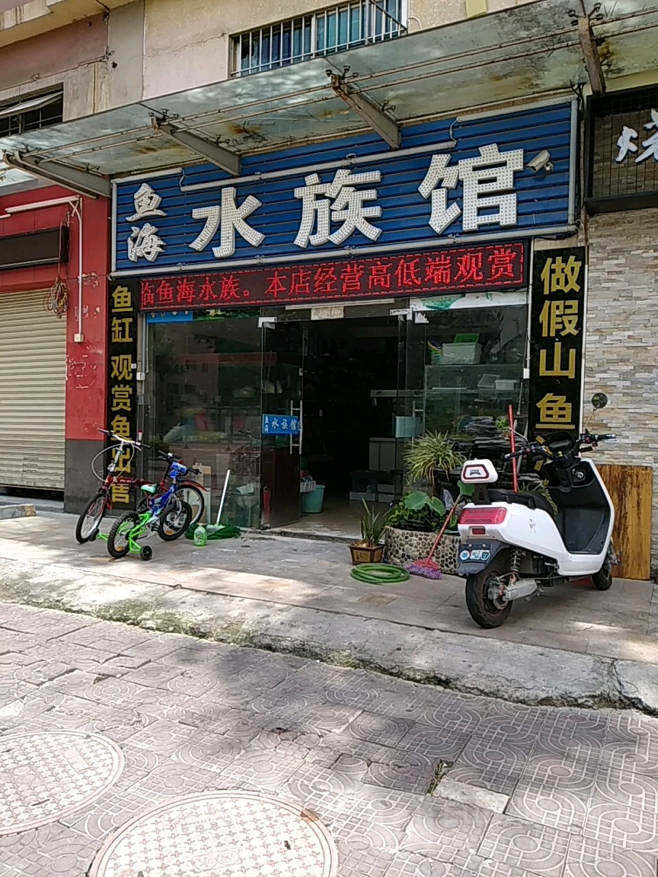 鱼海水族馆(宏发·雍景城店)