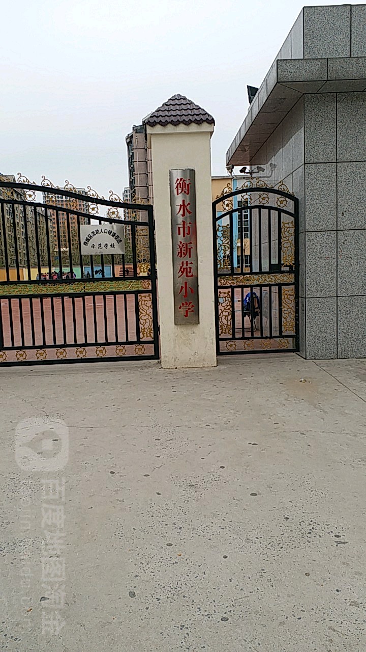 衡水市新苑小学