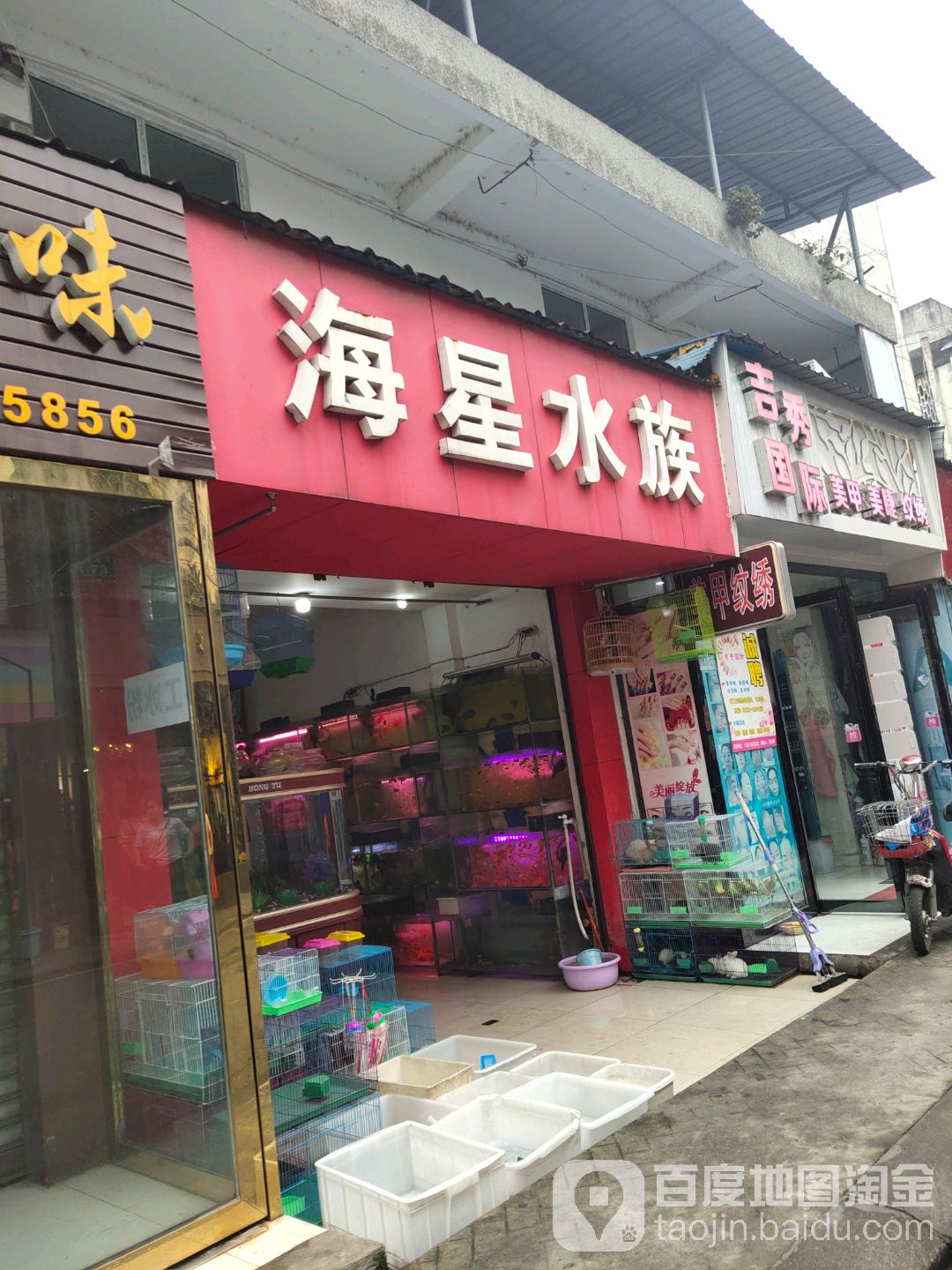 海星水族