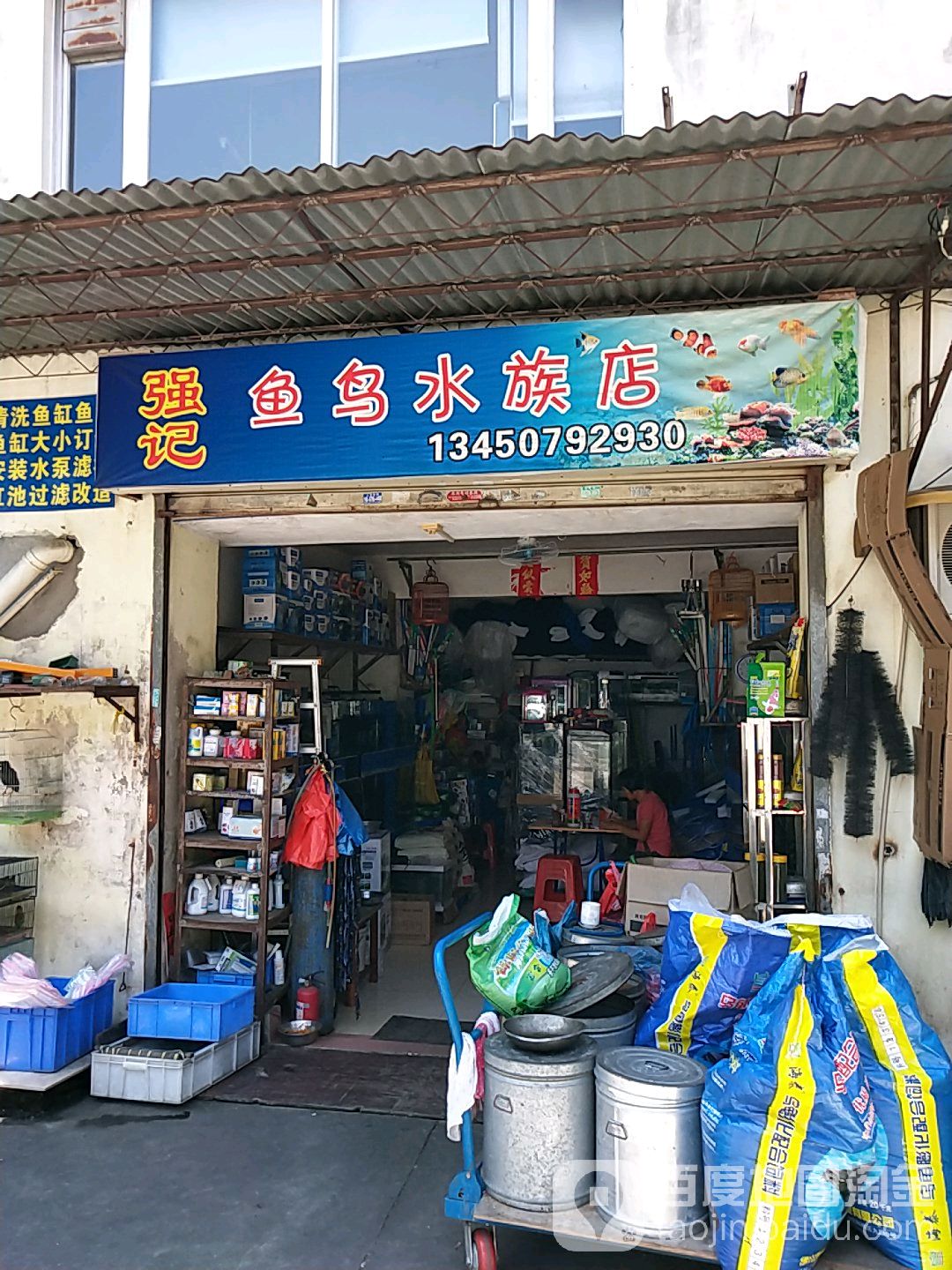强记鱼鸟水族店