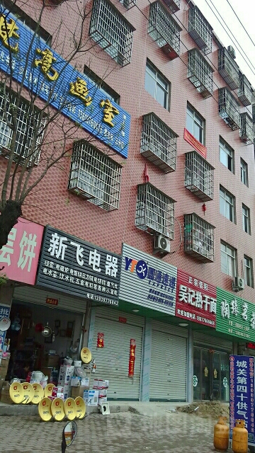 固始县新飞电器(桃花坞路店)